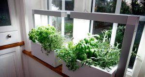 Does a conservatory add value to my house?