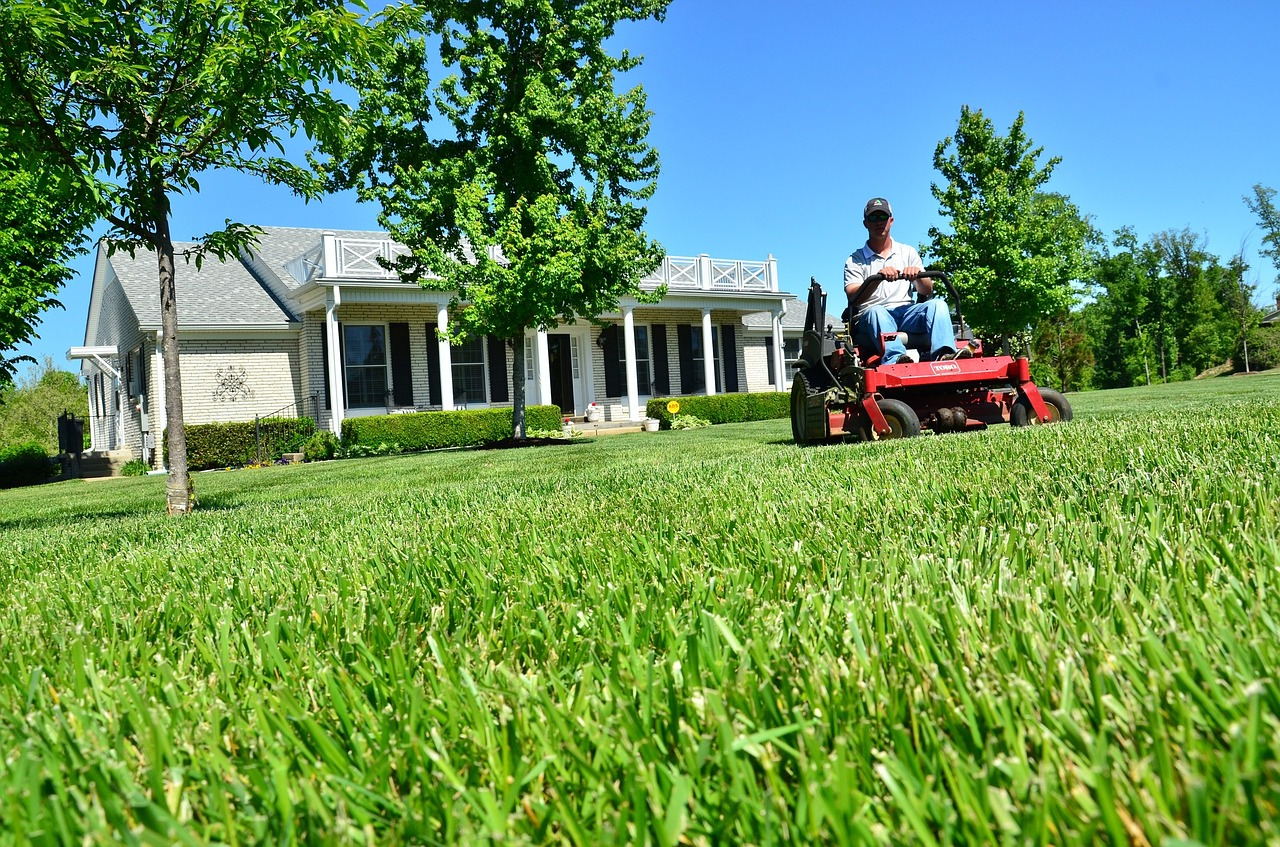 7 Tips to Start a Successful Lawn Care Business PAT Testing