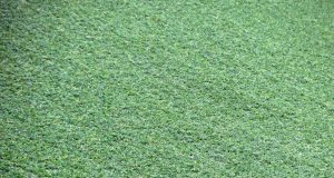 How to Maintain Artificial Grass Tennis Court in Spring