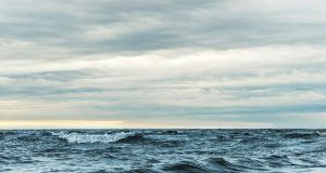 Why Every Forward-Thinking Brand Should Watch the Oceans