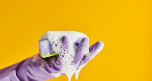 Professional Cleaning Services