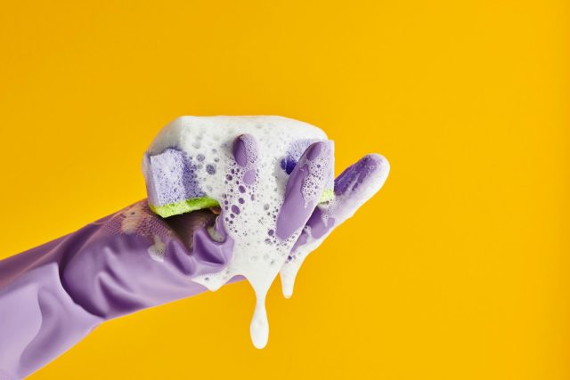 Professional Cleaning Services