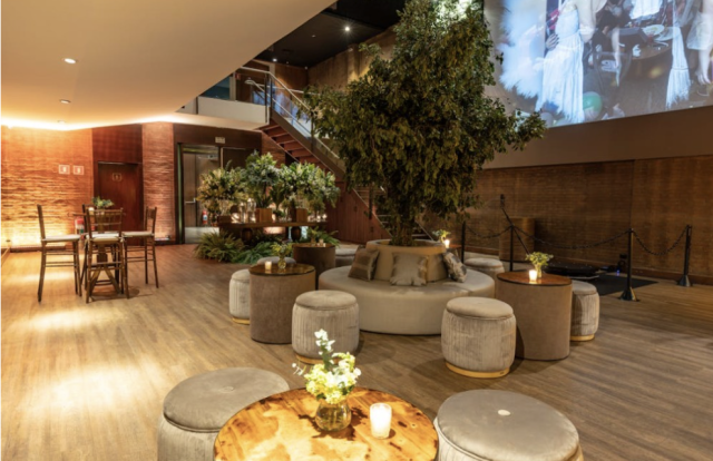 Screenshot 2026-02-13 at 09.23.45 Restaurant Lighting