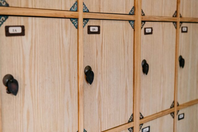 Understanding the Advantages of Wooden Locker Systems