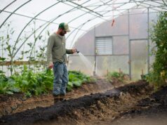 How Landscaping in Gloucester Enhances Property Value and Usability The Evolving Role of Landscaping in Gloucester