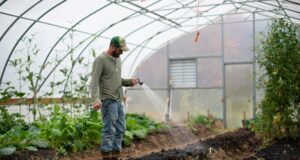 The Evolving Role of Landscaping in Gloucester