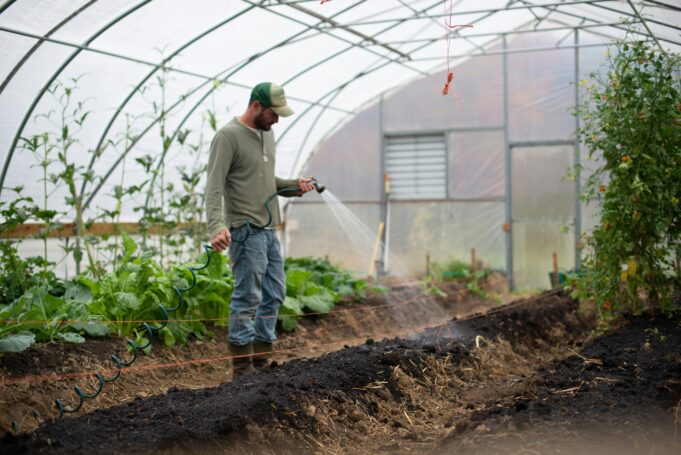 The Evolving Role of Landscaping in Gloucester