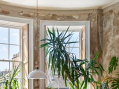 Buying a flat in an Edinburgh tenement: what to ask before you bid Buying a flat in an Edinburgh tenement: what to ask before you bid